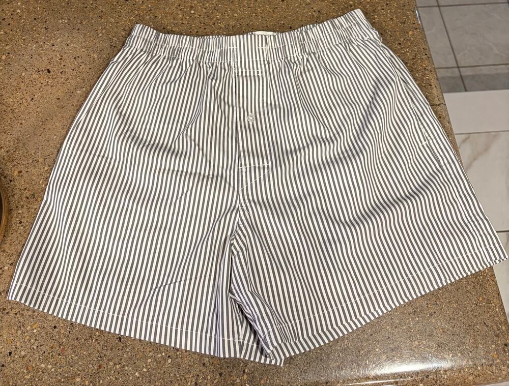 NWT American Eagle Outfitters Gray Pinstriped Boxers Sz Medium